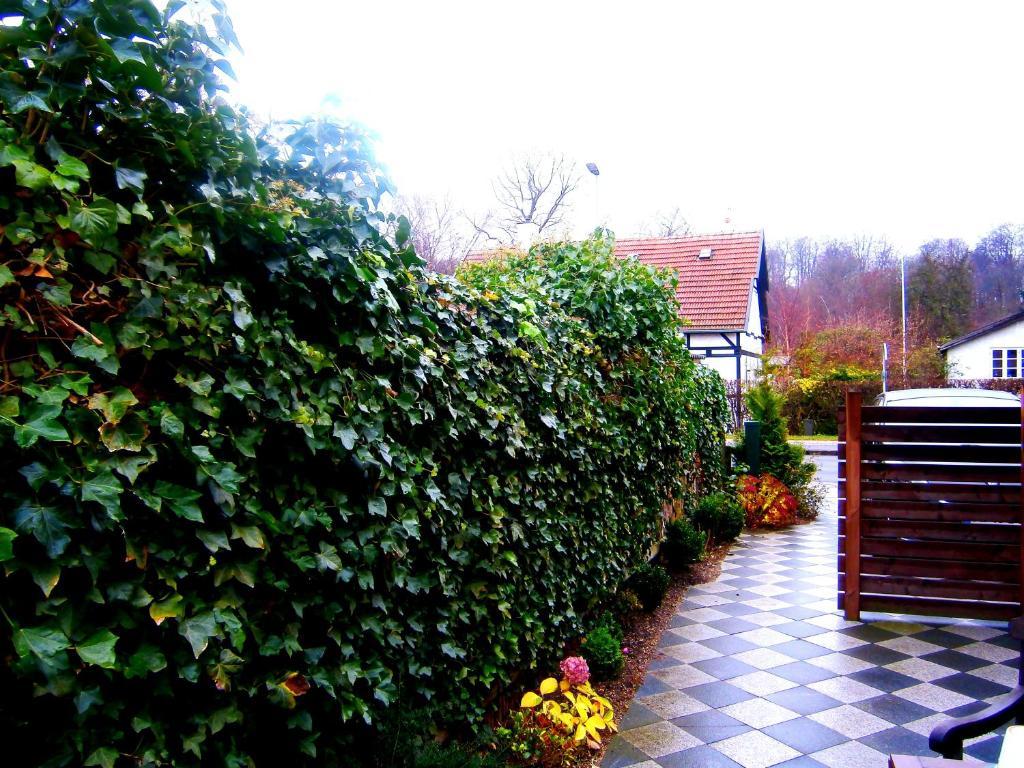 Helsingor Bed & Breakfast Bagian luar foto